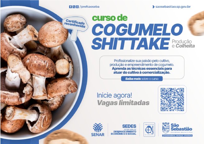 Foto: Prefeitura de São Sebastião abre inscrições para curso gratuito de produção de cogumelo shiitake