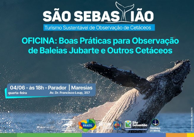 Foto: Inscrições para oficina de boas práticas para observação de baleias jubarte encerram na próxima terça-feira (3)