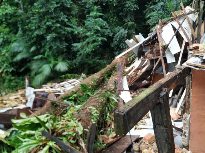 Foto: Árvore cai sobre casa e deixa uma vítima fatal na Costa Sul