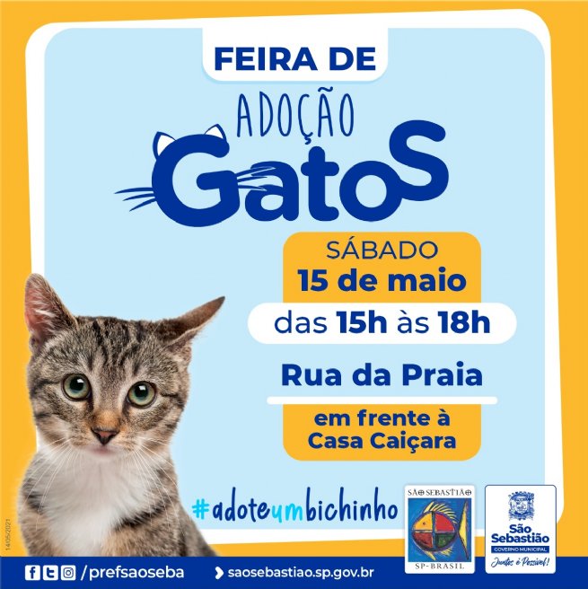Foto: Prefeitura realiza Feira de Adoção de Gatos neste sábado (15)
