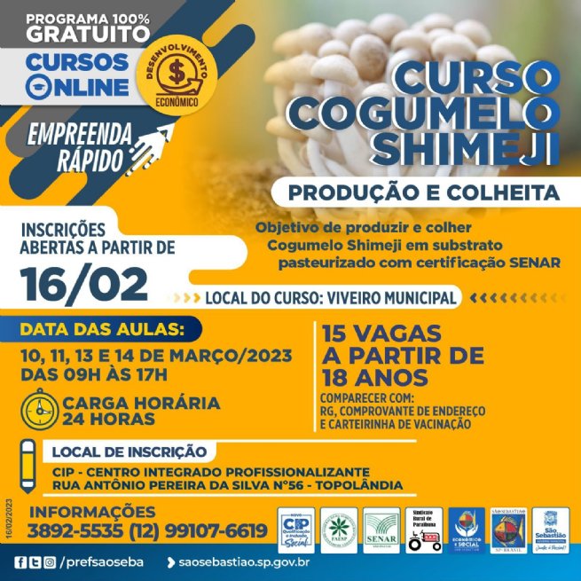 Foto: Inscrições para o curso profissionalizante gratuito ‘Cogumelo Shimeji – Produção e Colheita’ estão abertas