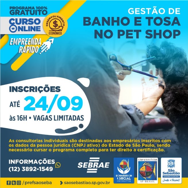 Foto: Prefeitura abre inscrições para programa online e gratuito sobre Gestão de banho e tosa no Pet Shop