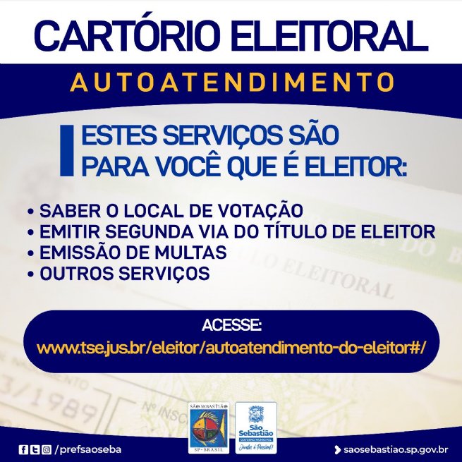Foto: Consulta ao local de votação, justificativas e outros serviços podem ser feitos pelo site do TSE