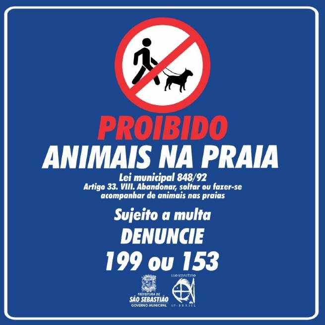 Foto: Prefeitura inicia campanha de conscientização sobre proibição de animais nas praias