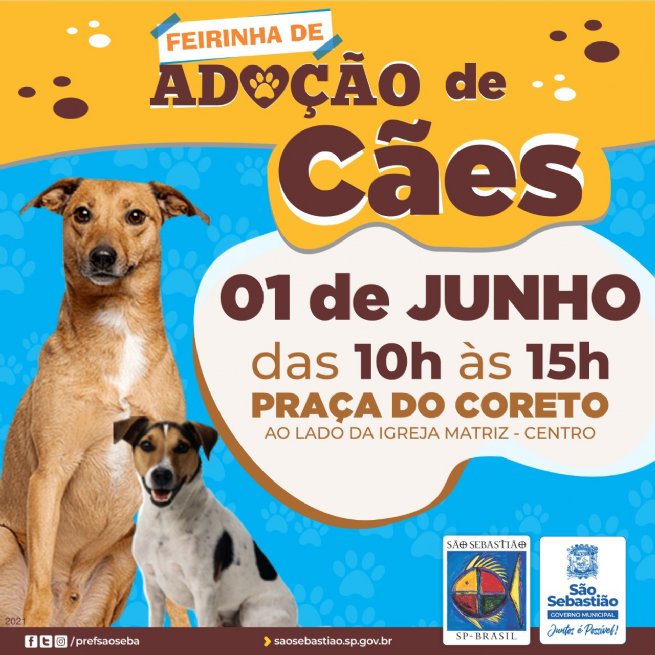 Foto: Prefeitura realiza Feirinha de Adoção de Cães na próxima terça-feira (1)